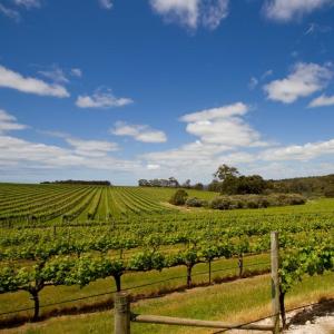 Margaret River